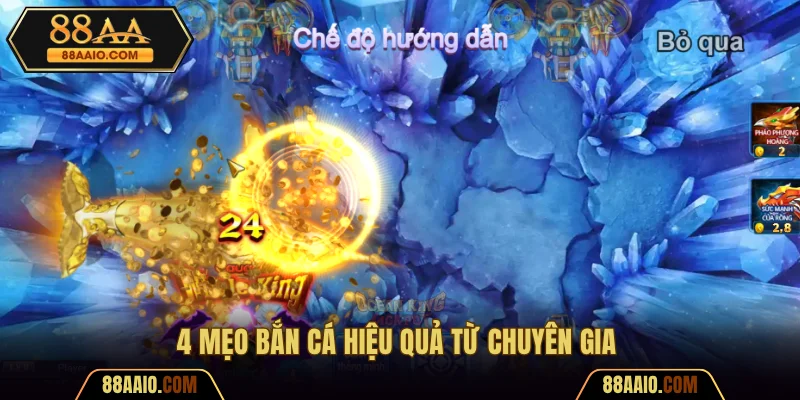 Bỏ túi 4 kinh nghiệm cá cược bất bại từ chuyên gia 